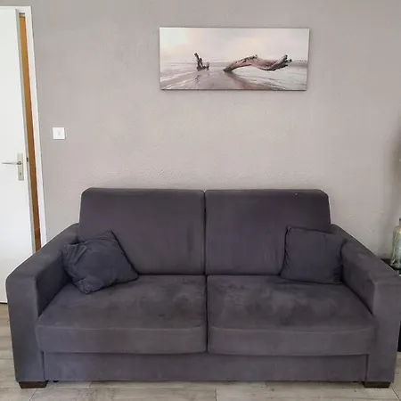 100m Et Foret Couchages 4 Pers * Seignosse